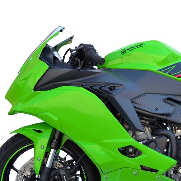 Kawasaki Ninja ZX-4RR, 2023 - 2024, Hot Bodies Race Bodywork