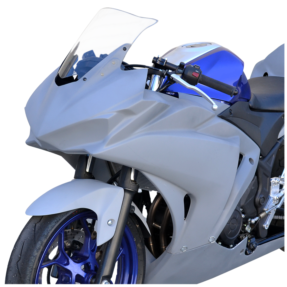 Yamaha R3, 2015 - 2018, Hot Bodies Race Bodywork