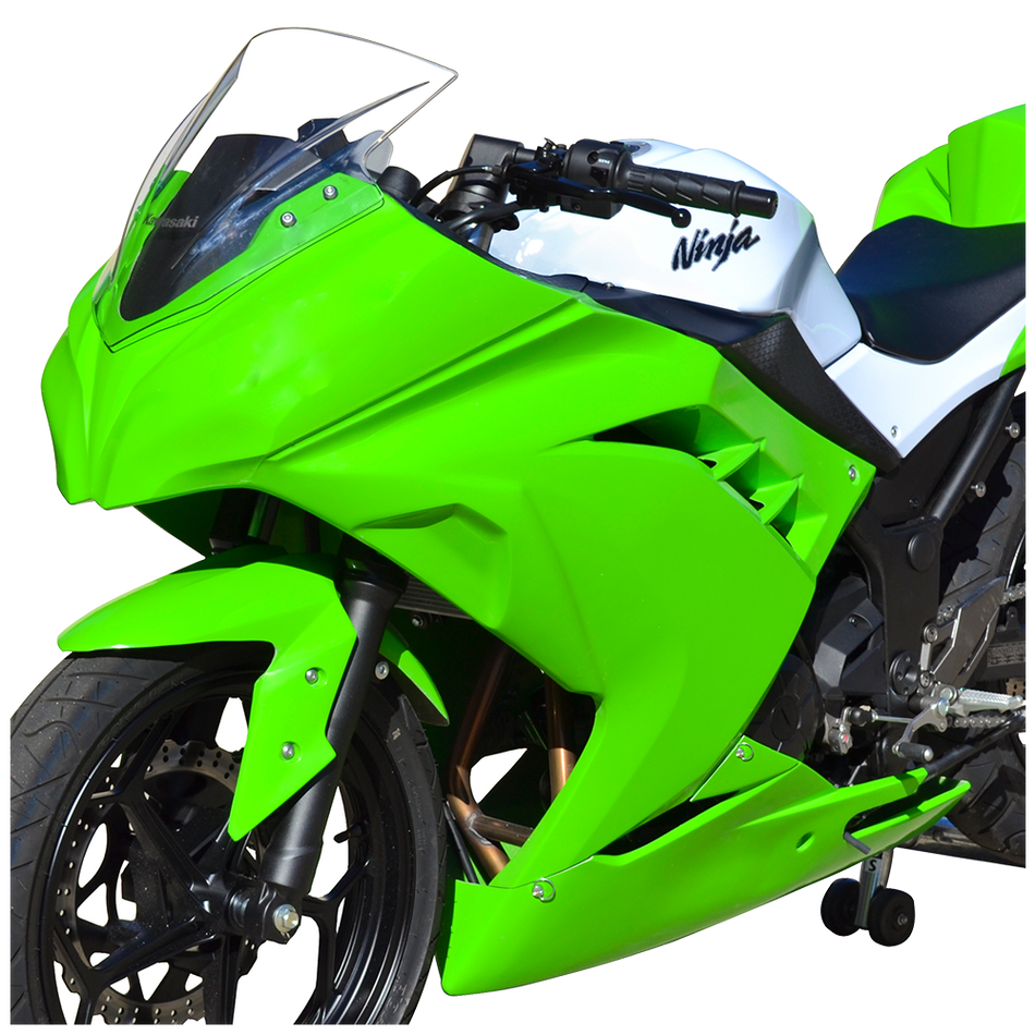 Kawasaki Ninja 300, 2013 - 2017, Hot Bodies Race Bodywork
