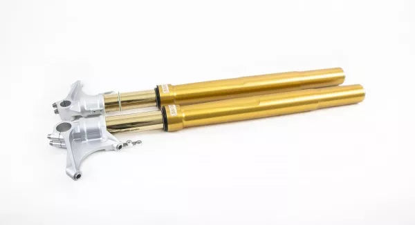 Ducati Panigale 899/959/V2/V4, 2014-2023, Ohlins Street R&T Fork - FGRT 231